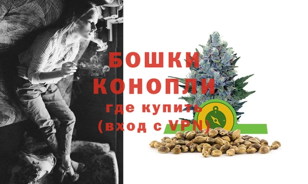 прущая мука Нея