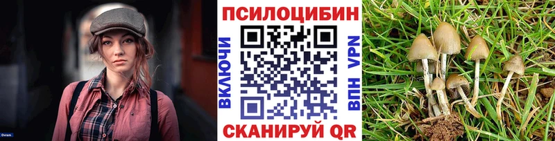 Псилоцибиновые грибы прущие грибы  где можно купить наркотик  Сим 